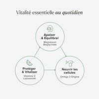 Pack essentiel