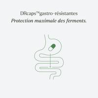 Complexe Probiotiques FloreRepair FLASH