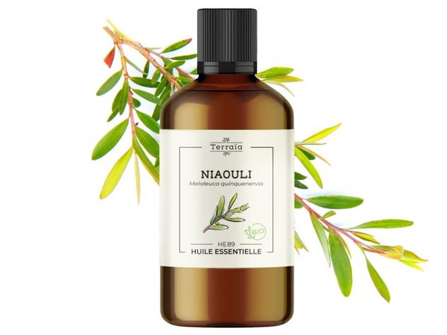 Huile essentielle Niaouli Bio