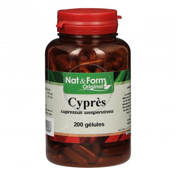 Cyprès