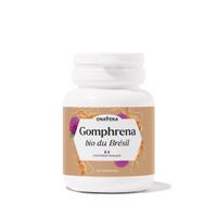 Gomphrena (Ginseng brésilien) Bio