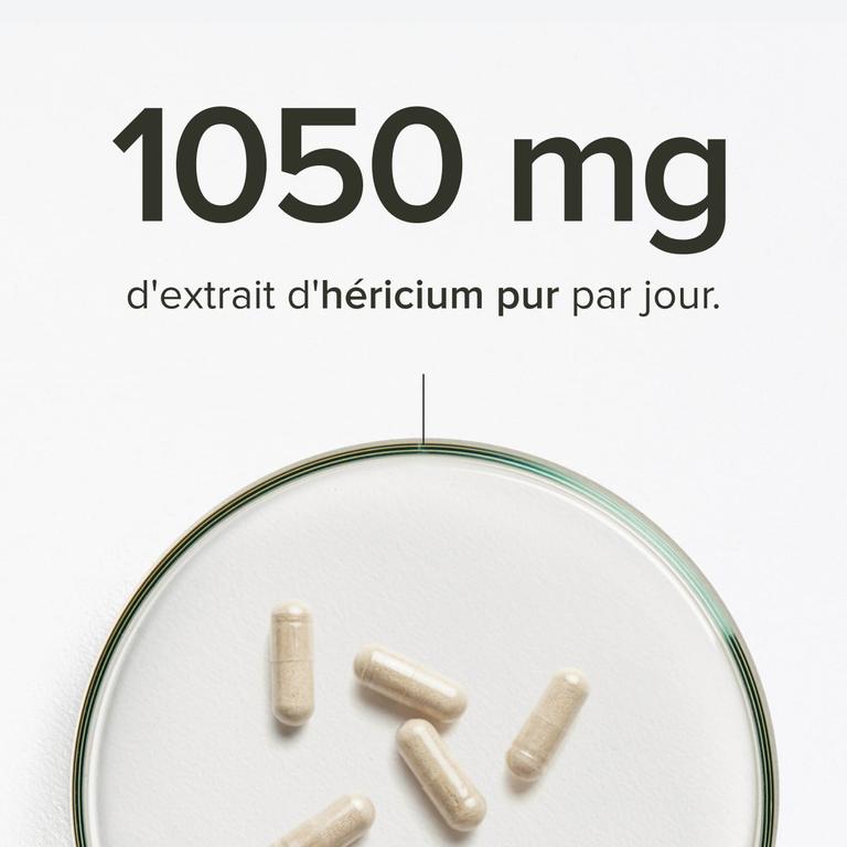 Héricium bio