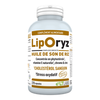 LipOryz