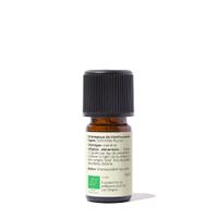 Huile essentielle Menthe poivrée Bio