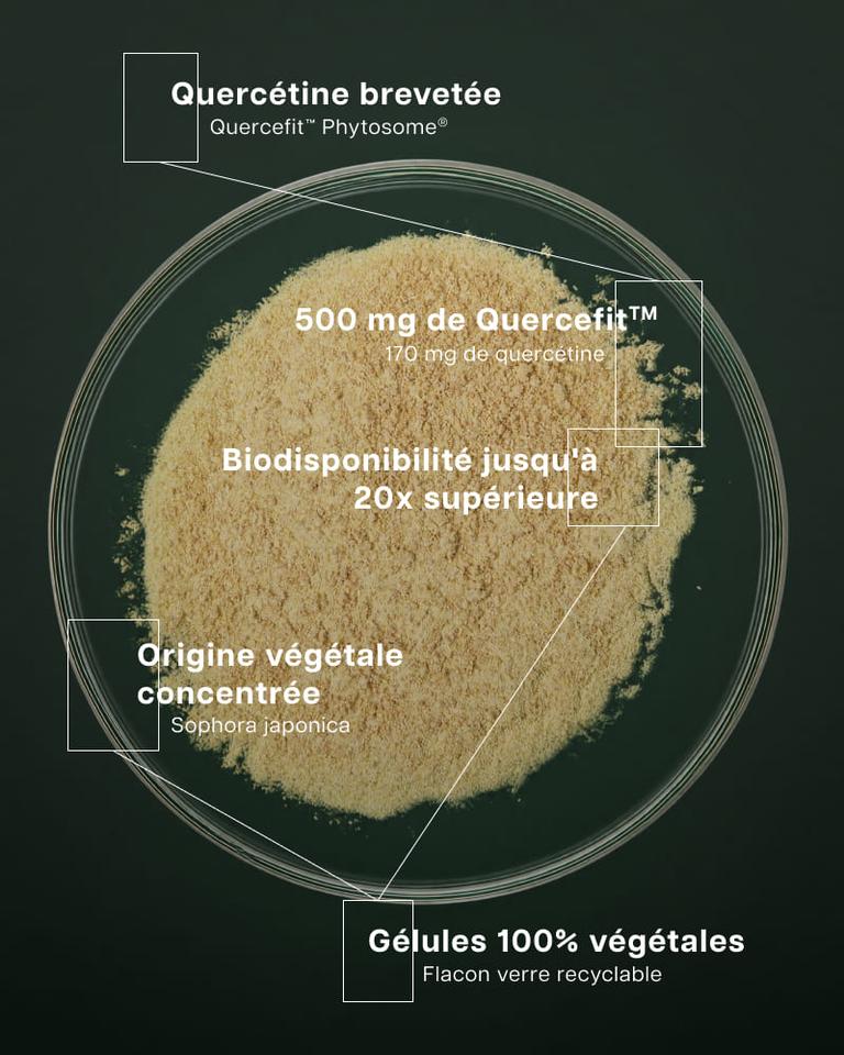 Quercétine Premium