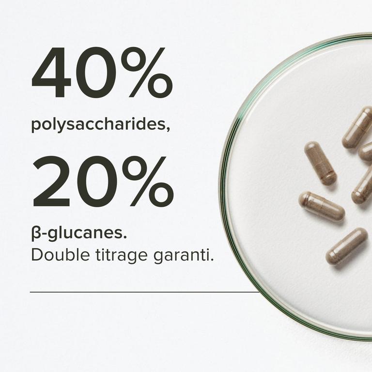 Chaga Bio