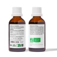 Echinacée Bio Extrait de plante fraîche