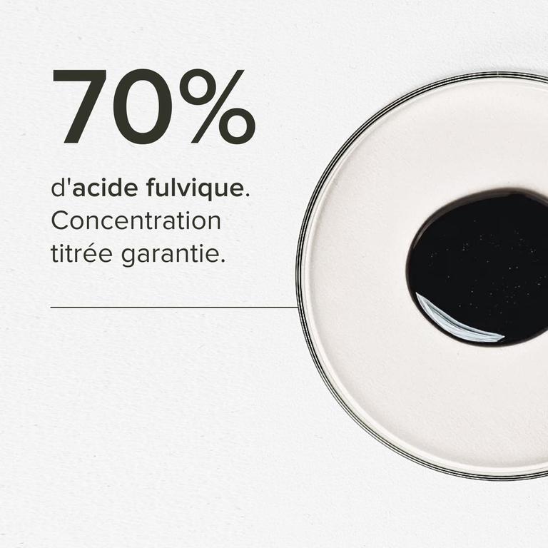 Shilajit résine pure