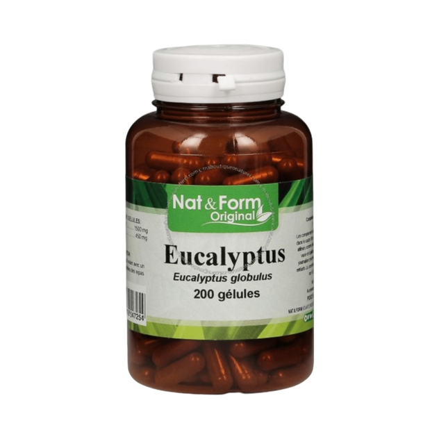 Eucalyptus