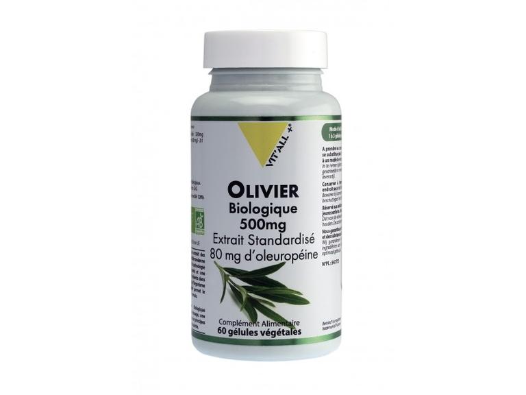 Olivier Bio Extrait standardisé 500mg