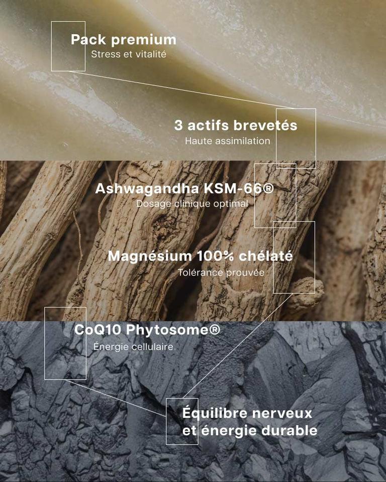 Pack stress énergie et récupération
