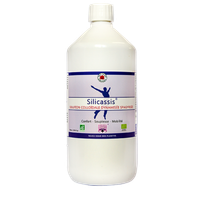Silicassis Silicium Organique dynamisé Bio