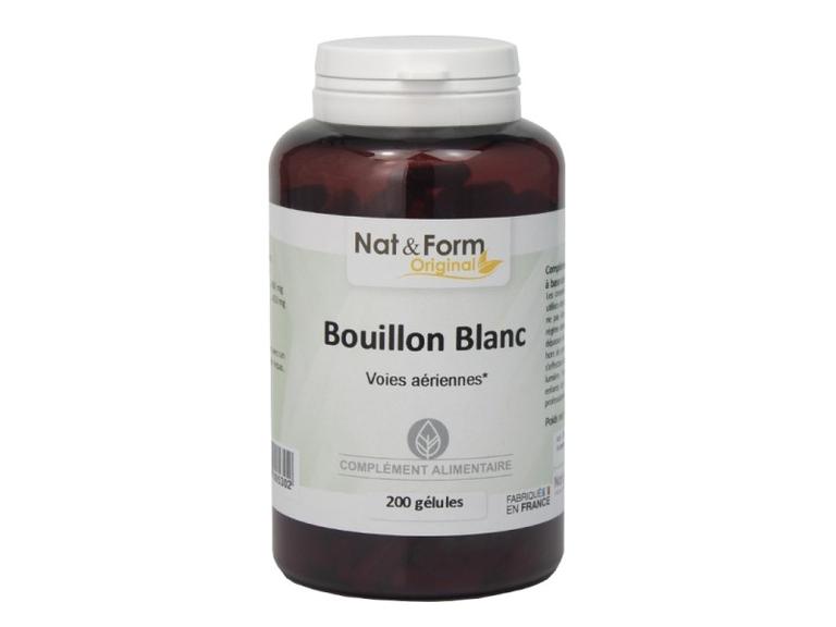 Bouillon blanc