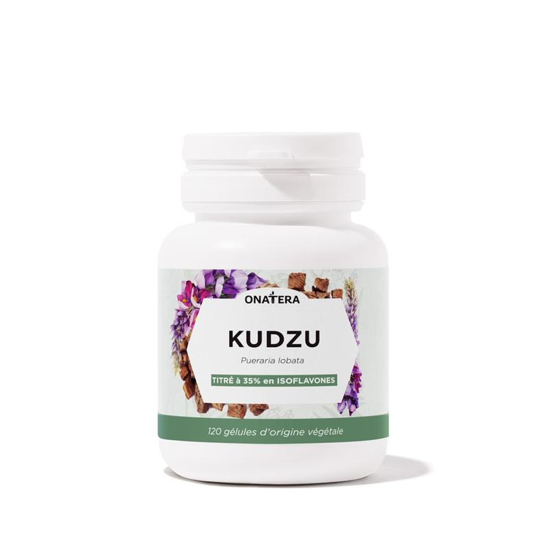 Kudzu