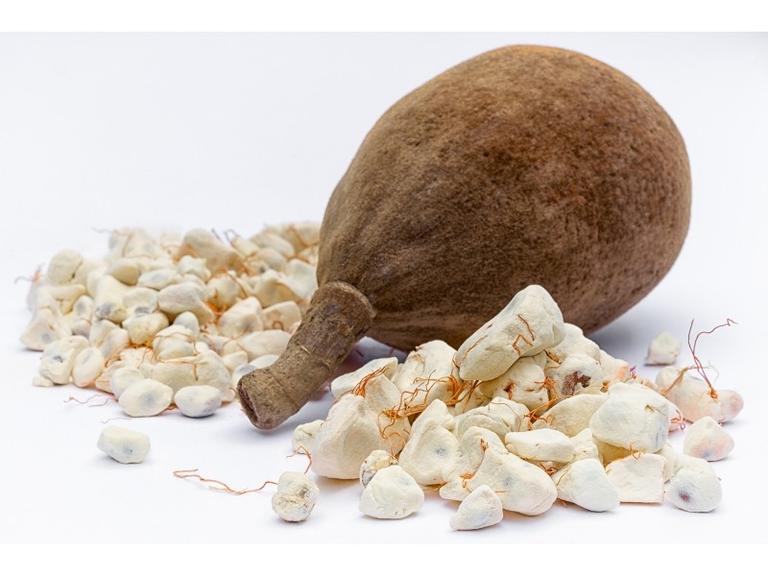 Baobab en poudre Bio
