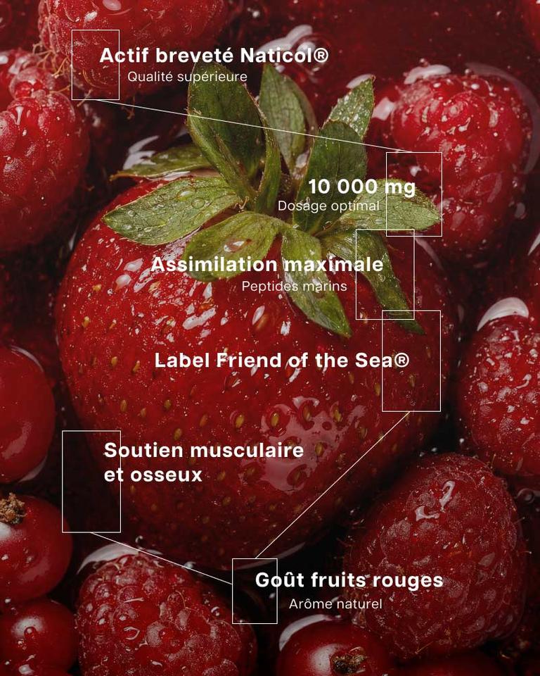 Collagène marin hydrolysé goût fruits rouges