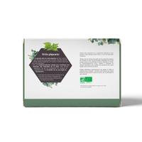 Ortie Bio liquide