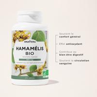 Hamamélis Bio