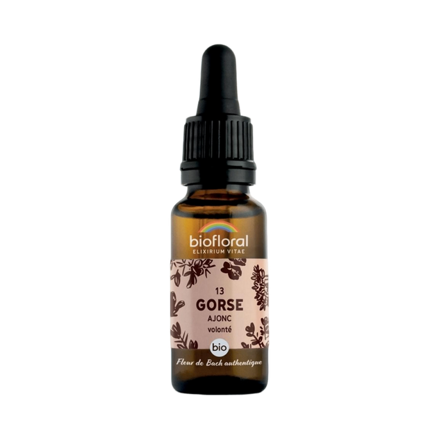 Fleur de Bach Gorse N°13 Bio