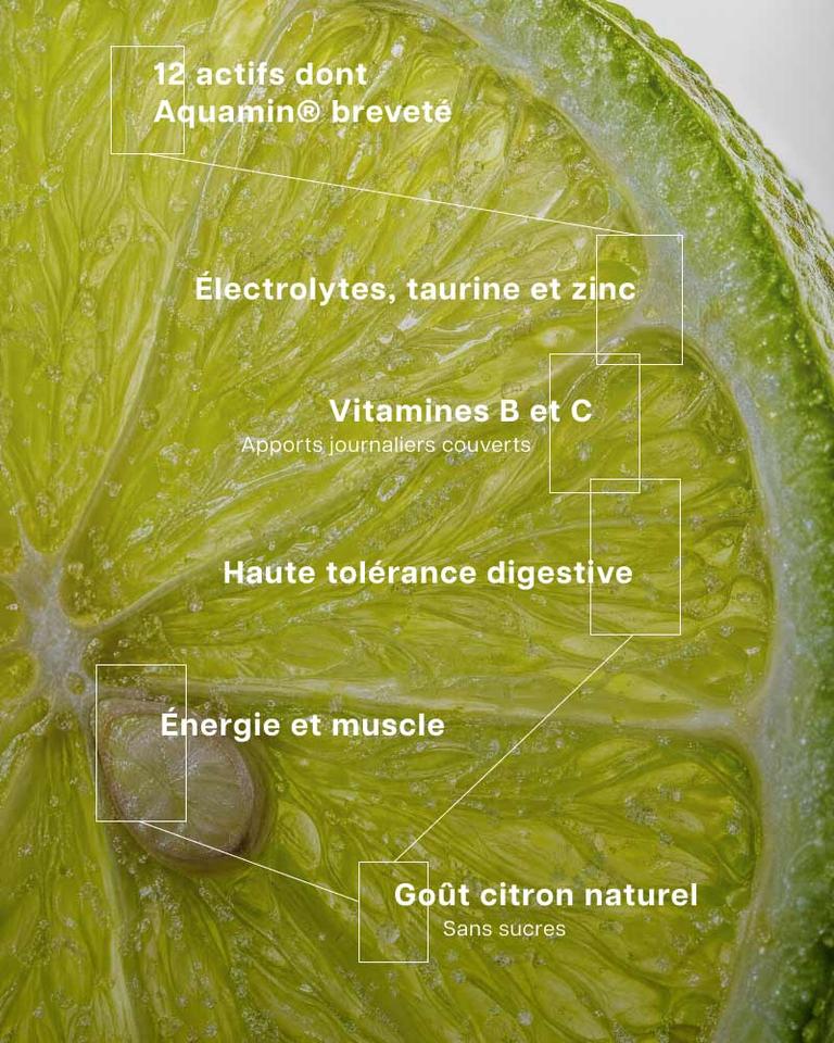 Électrolytes