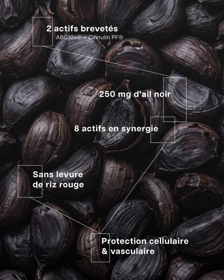 Complexe Cholestérol