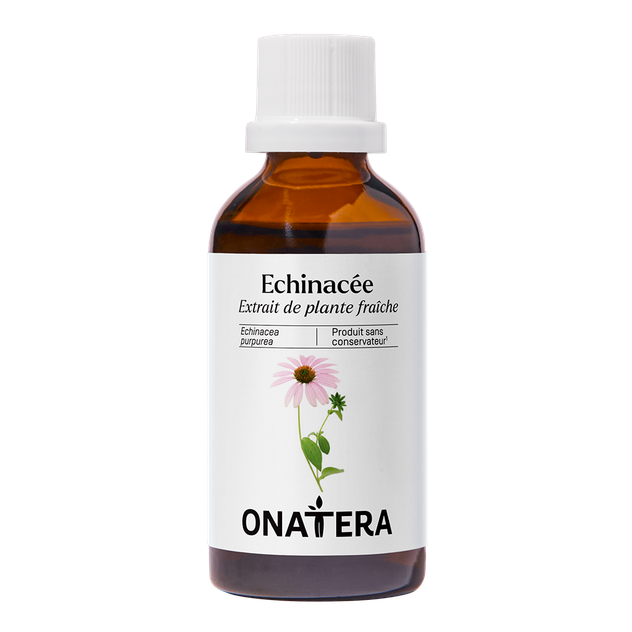 Echinacée Bio Extrait de plante fraîche