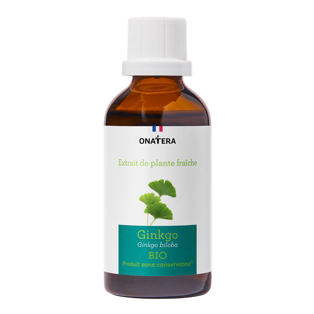 Ginkgo Biloba Bio Extrait de plante fraîche