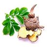 Konjac