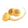 Maca