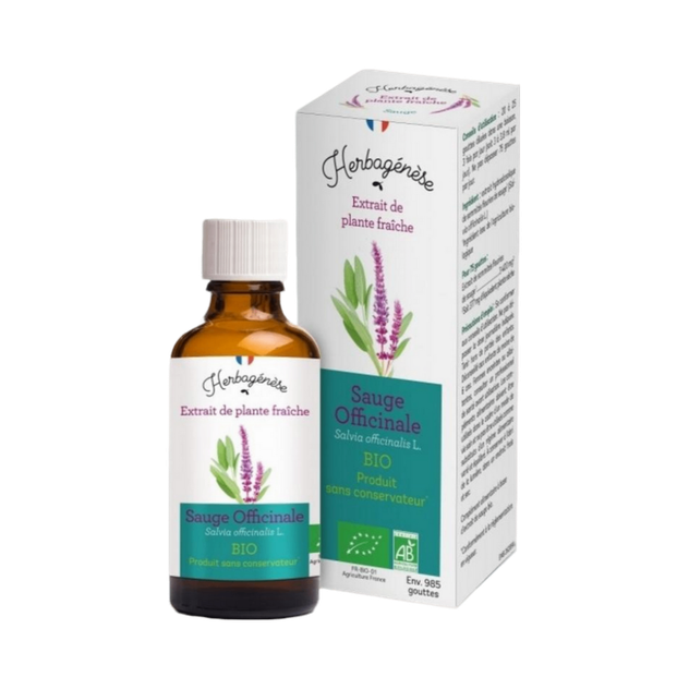 Sauge Bio Extrait de plante fraîche
