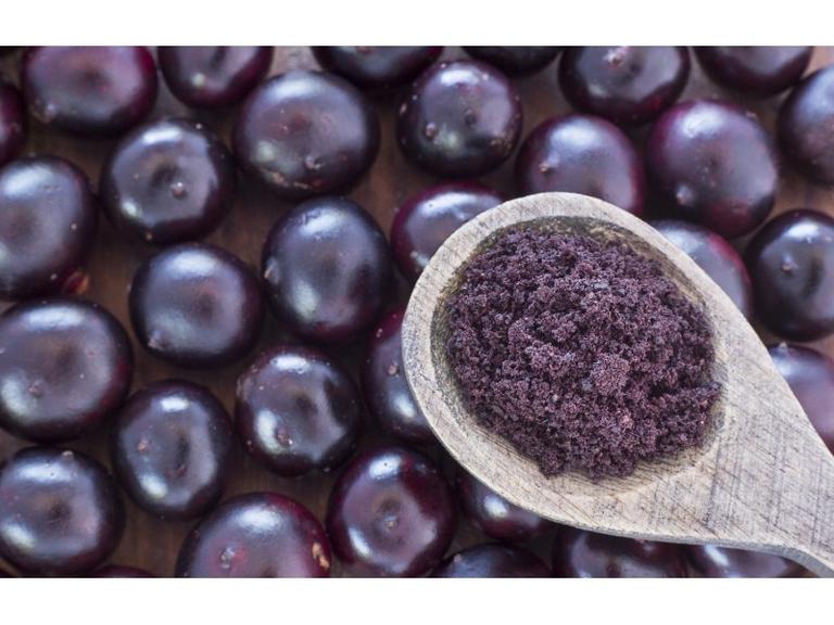 Açaï en poudre Bio