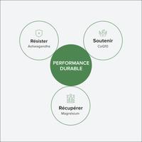 Pack énergie et récupération