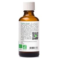 Achillée Millefeuille Bio Extrait de plante fraîche