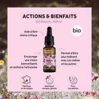 Fleur de Bach Beech N°3 Bio