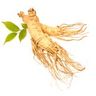 Ginseng blanc
