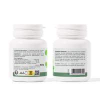 Desmodium
