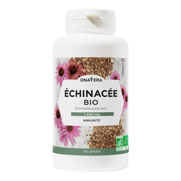 Echinacée Bio