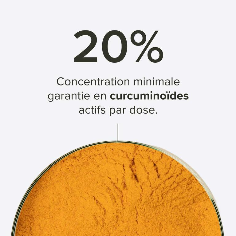 Curcuma Premium