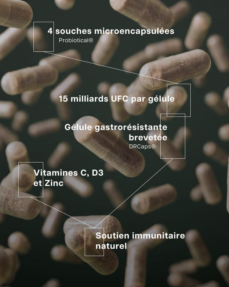 Complexe Probiotiques Immunité