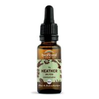 Fleur de Bach Heather N°14 Bio